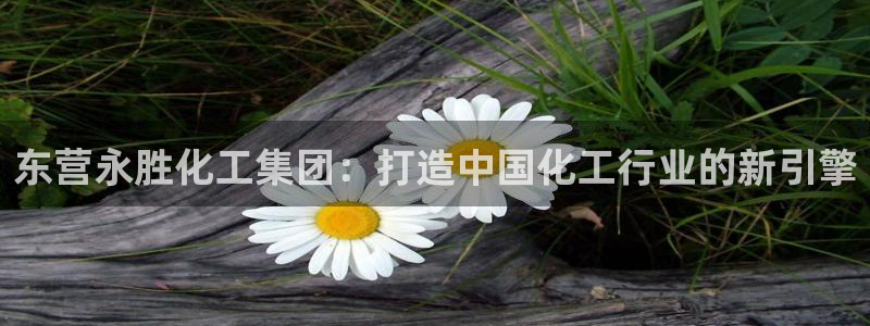 球盟会app最新地址下载