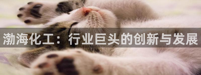 球盟会app网址多少