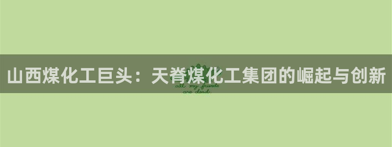 球盟会进不去吗：山西煤化工巨头：天脊煤化工集团的崛起与创新