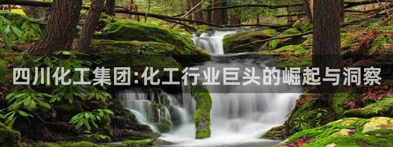 球盟会能提现吗
