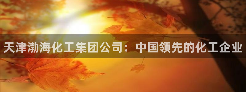 球盟会qmh网页版登录：天津渤海化工集团公司：中国领先的化工