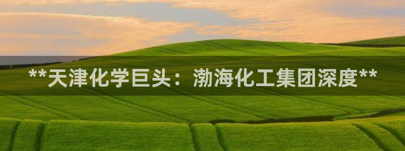 球盟会黑嘛：**天津化学巨头：渤海化工集团深度**