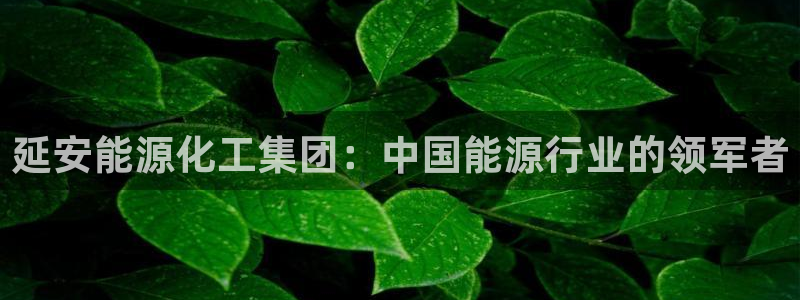 球盟会和中欧：延安能源化工集团：中国能源行业的领军者
