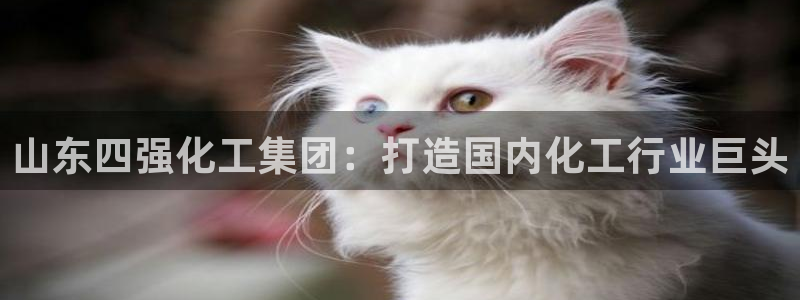 球盟会qmh登录地址