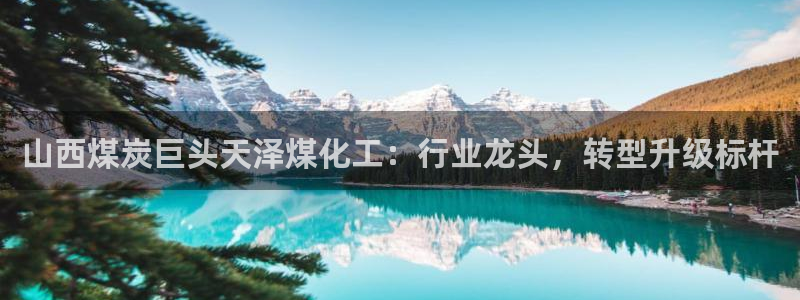 球盟会和中欧