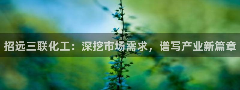 球盟会app入口