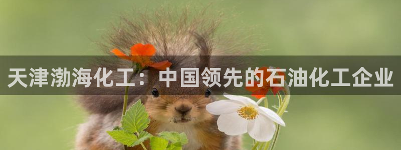 球盟会官方网入口：天津渤海化工：中国领先的石油化工企业