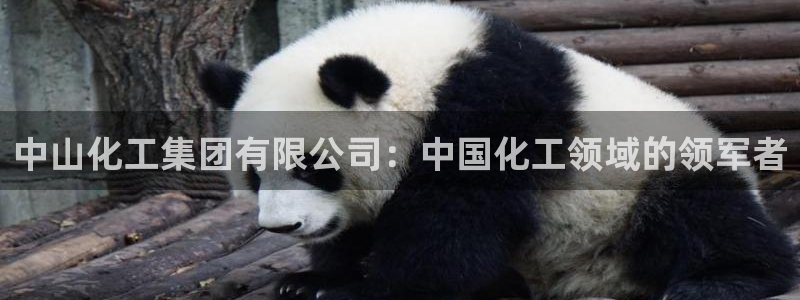 球盟会app安装