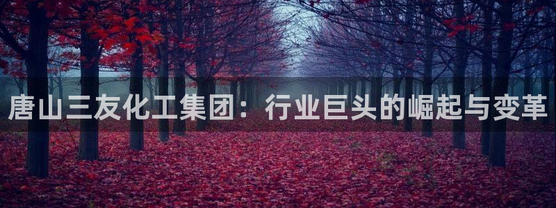 球盟会黑平台