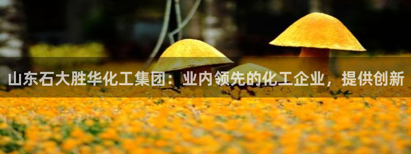 球盟会登陆入口：山东石大胜华化工集团：业内领先的化工企业，提