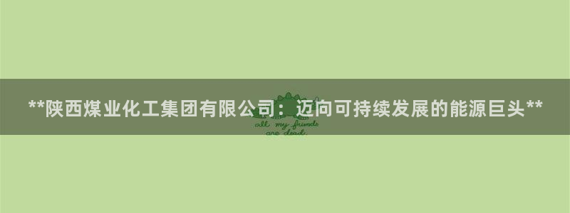 球盟会综合app下载：**陕西煤业化工集团有限公司：迈向可持