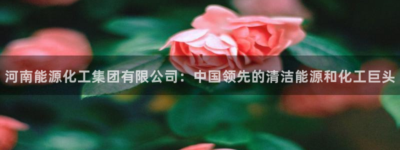 球盟会体育app官方网站：河南能源化工集团有限公司：中国领先