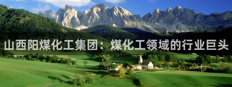 球盟会qmh电子网页版登录：山西阳煤化工集团：煤化工领域的行