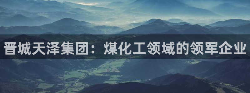 球盟会进不去