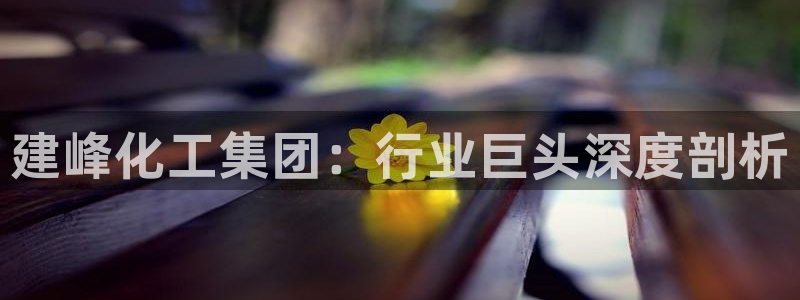 球盟会官方网入口