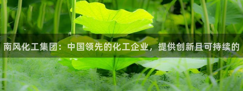 球盟会app最新地址下载：南风化工集团：中国领先的化工企业，