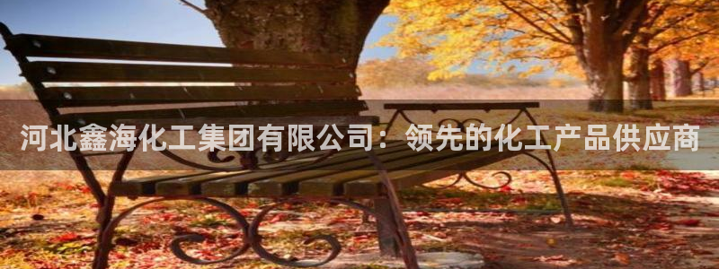 球盟会体育平台：河北鑫海化工集团有限公司：领先的化工产品供应
