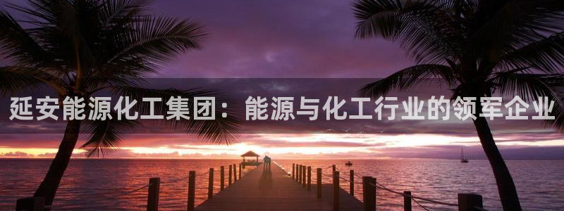 球盟会有限公司怎么样：延安能源化工集团：能源与化工行业的领军