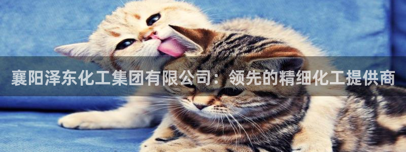 球盟会官网入口：襄阳泽东化工集团有限公司：领先的精细化工提供