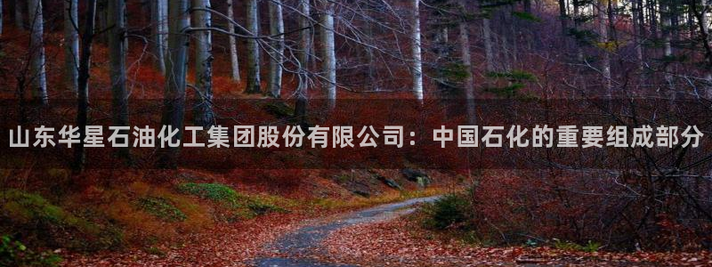 球盟会可以提现么现在：山东华星石油化工集团股份有限公司：中国