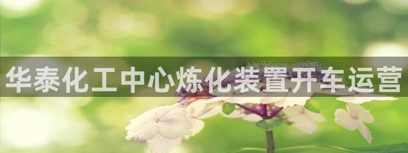 球盟会中国网页登录：华泰化工中心炼化装置开车运营