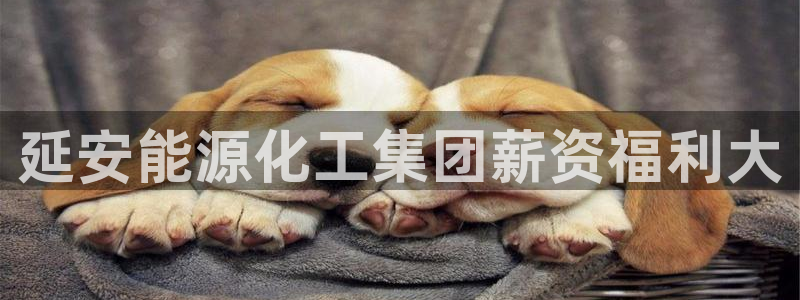 球盟会和中欧会的区别