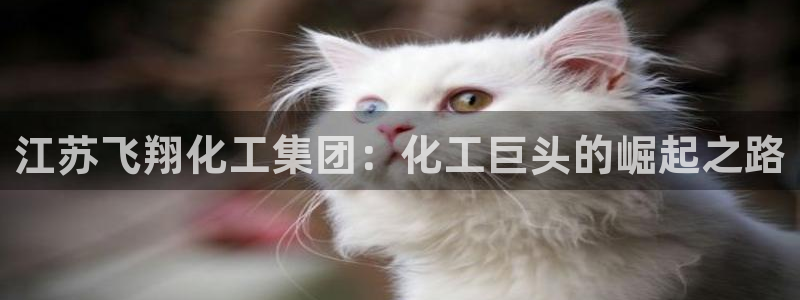 球盟会app最新地址下载