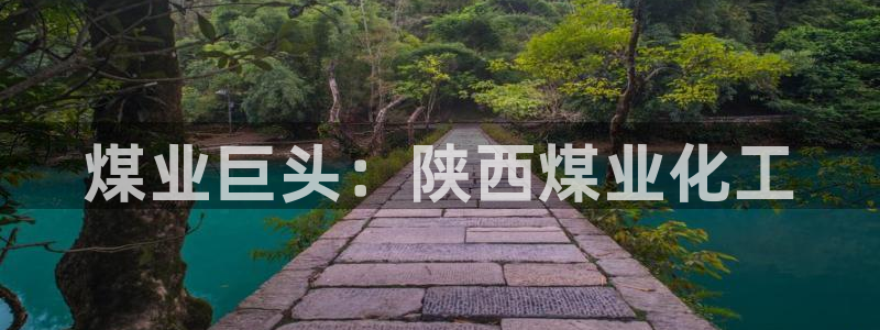 球盟会里面有打牌的嘛知乎：煤业巨头：陕西煤业化工