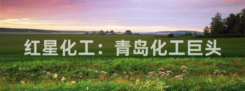 千亿球盟会：红星化工：青岛化工巨头