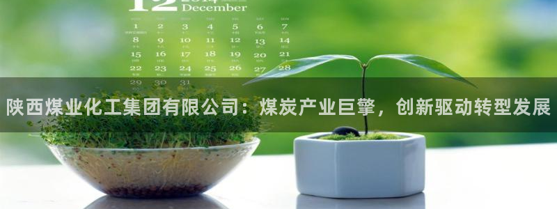 球盟会app网址多少：陕西煤业化工集团有限公司：煤炭产业巨擎