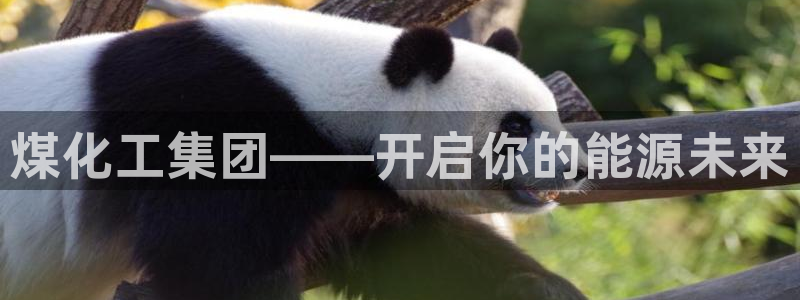 球盟会电子游戏平台