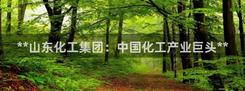 球盟会网页登录app下载地址：**山东化工集团：中国化工产业