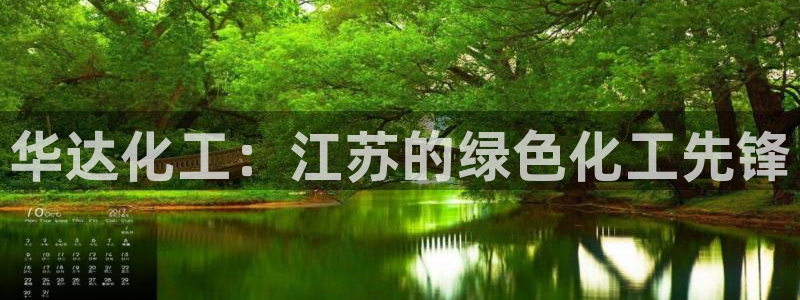 球盟会黑台子：华达化工：江苏的绿色化工先锋
