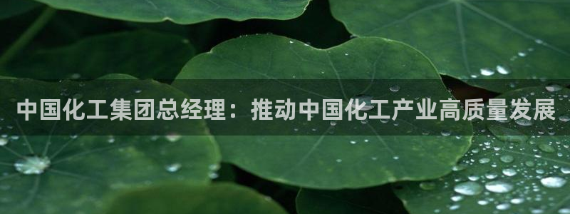 球盟会和中欧合作吗：中国化工集团总经理：推动中国化工产业高质