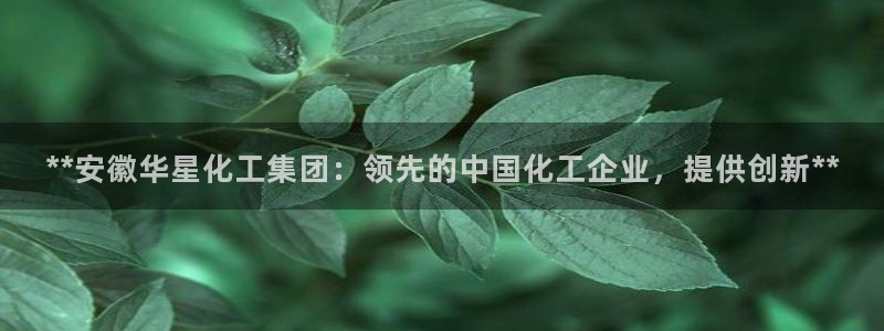 球盟会官网登录入口：**安徽华星化工集团：领先的中国化工企业