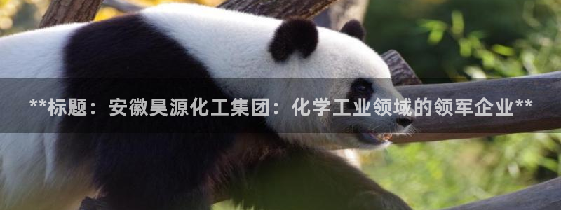 球盟会官方登录平台入口：**标题：安徽昊源化工集团：化学工业