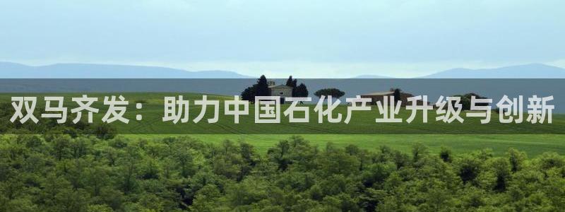球盟会几点玩合适：双马齐发：助力中国石化产业升级与创新