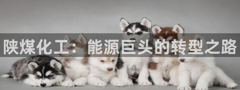 球盟会下款快吗