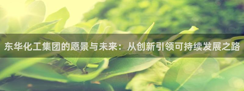 球盟会官方：东华化工集团的愿景与未来：从创新引领可持续发展之