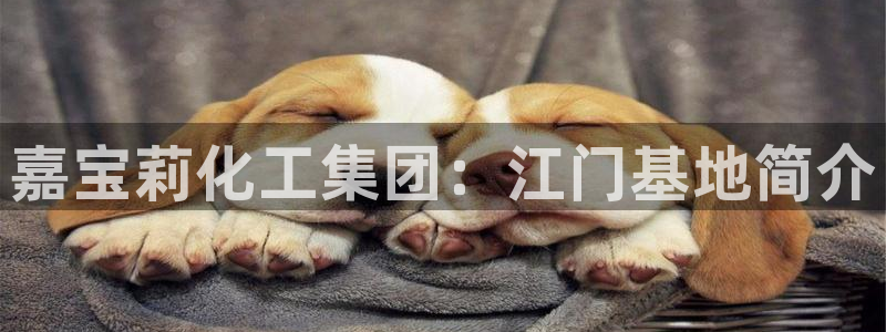 球盟会官方网站