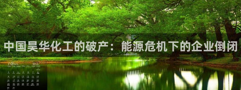 球盟会黑款吗知乎小说：中国昊华化工的破产：能源危机下的企业倒