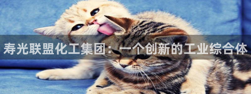 球盟会综合体育平台：寿光联盟化工集团：一个创新的工业综合体