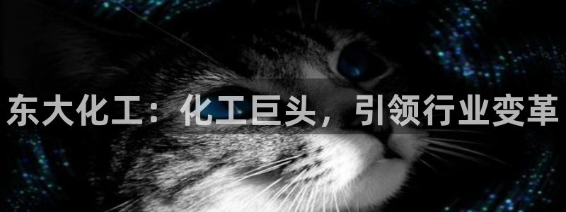 球盟会黑台