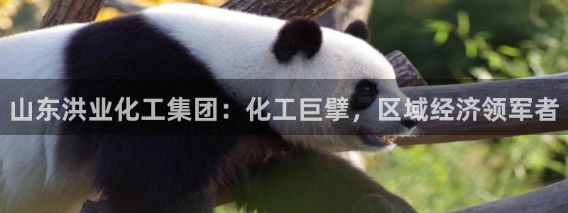 球盟会电子好黑
