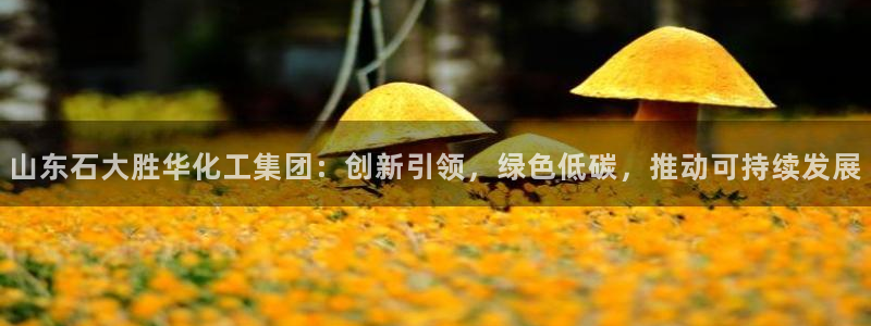 球盟会可以提现么：山东石大胜华化工集团：创新引领，绿色低碳，