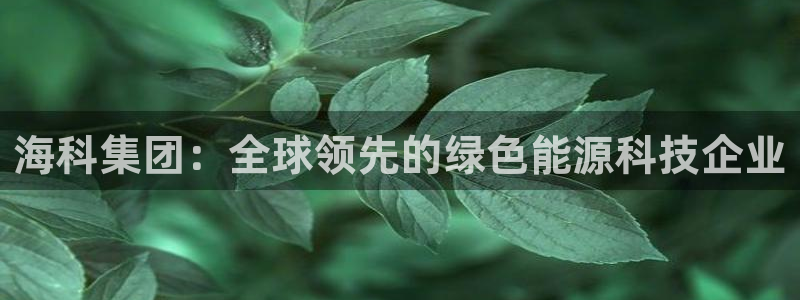 球盟会官网app下载：海科集团：全球领先的绿色能源科技企业