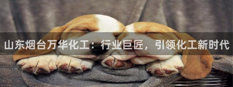 球盟会电子好下吗