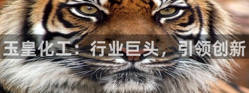 球盟会手机网页版：玉皇化工：行业巨头，引领创新