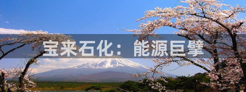 球盟会娱乐平台：宝来石化：能源巨擘