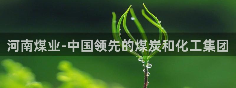 球盟会App：河南煤业-中国领先的煤炭和化工集团